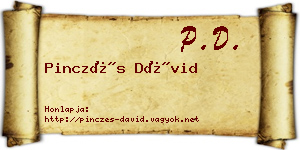 Pinczés Dávid névjegykártya